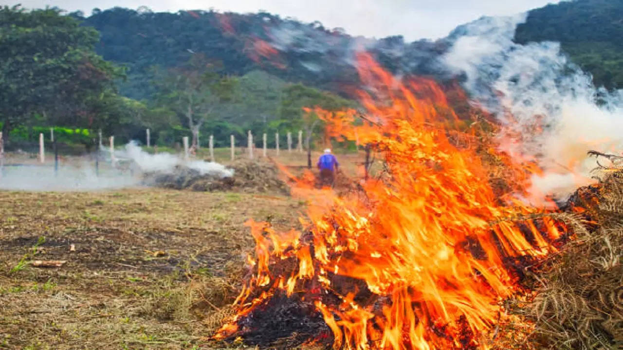 stubble burning punjab