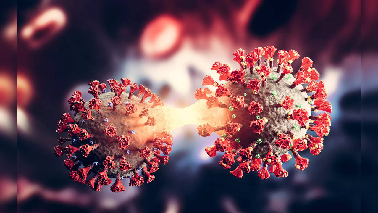 For the study, published in the journal MRS Communications, the team created a new kind of micelle, one that is stamped on the surface with copies of an imprinted particle for SARS-CoV-2.