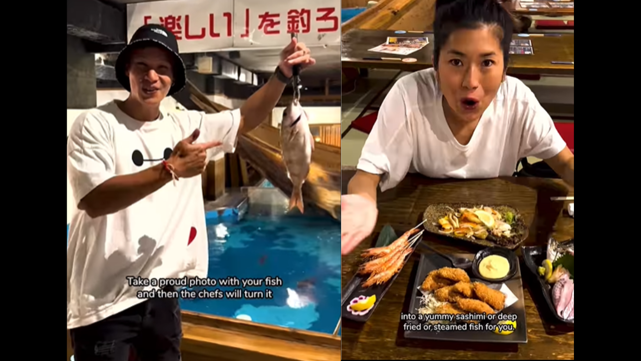 Catch your own fish to enjoy a meal at this Japanese restaurant