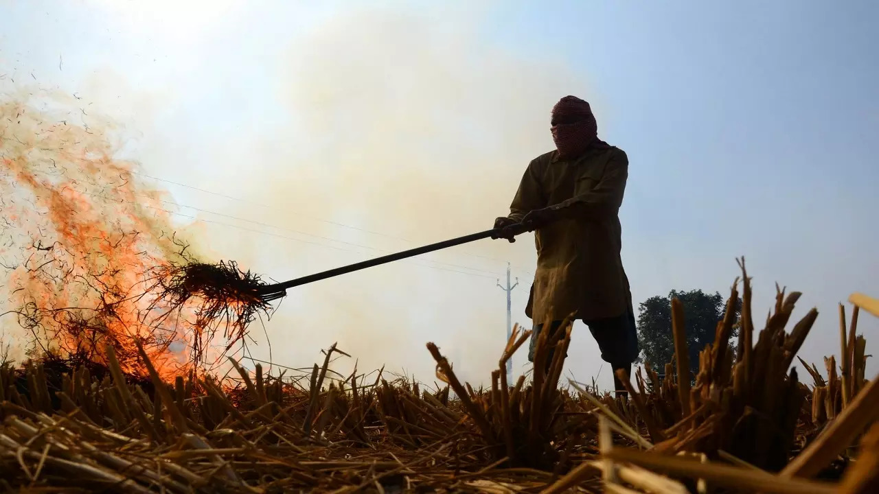 Stubble burning