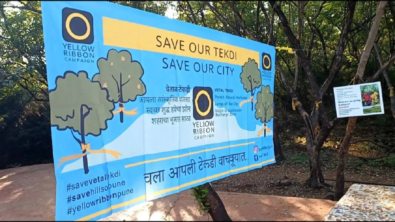 Punekars join hand to save ‘Vetal Tekdi’ - the green lung of city