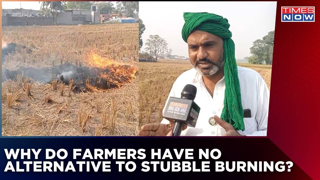 Punjab Farmer Explains Reason Behind The Stubble Burning Times Now   95205649 