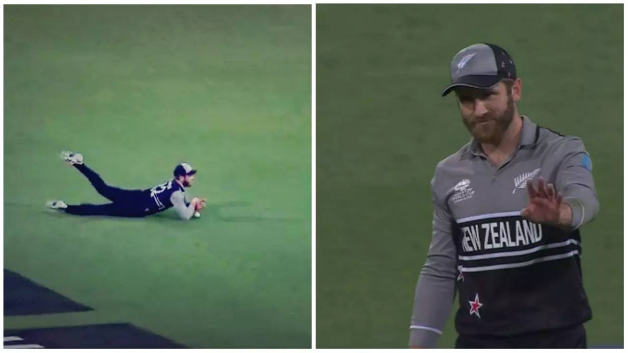 Williamson dropped catch screengrab