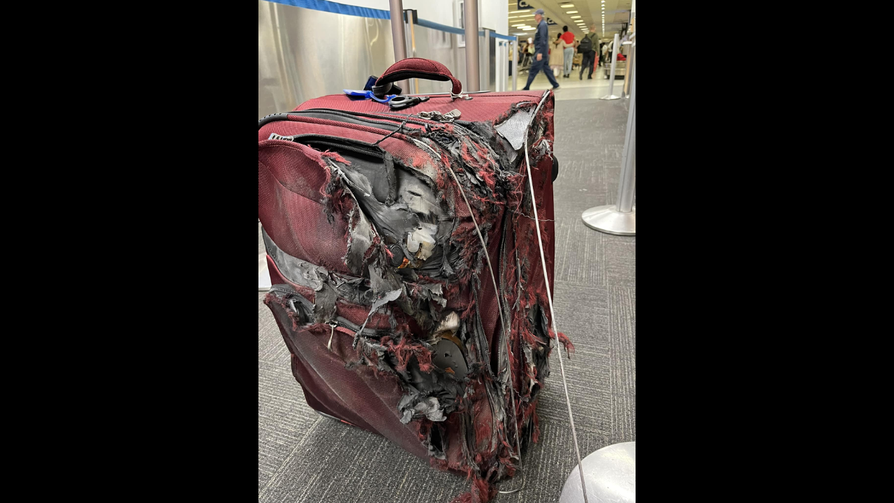 Photo of damaged suitcase goes viral