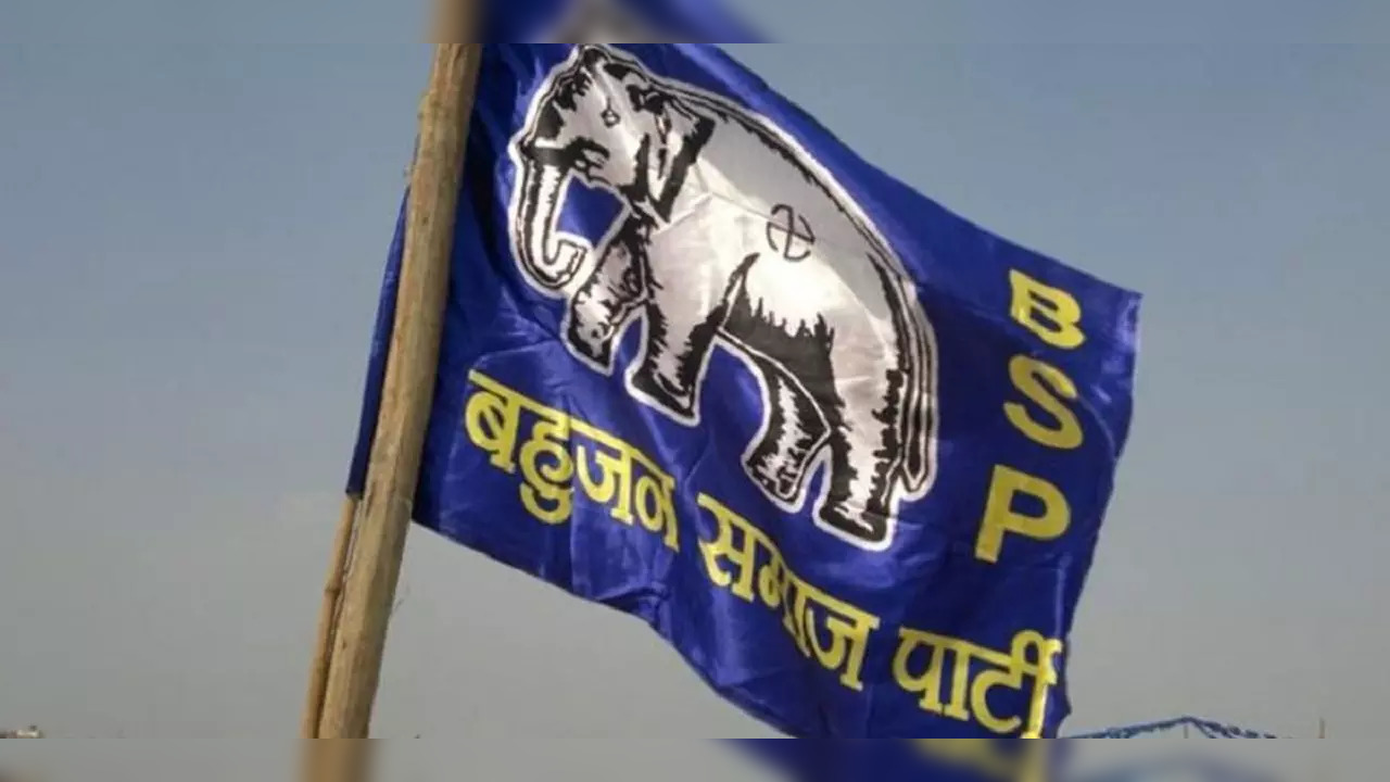 BSP