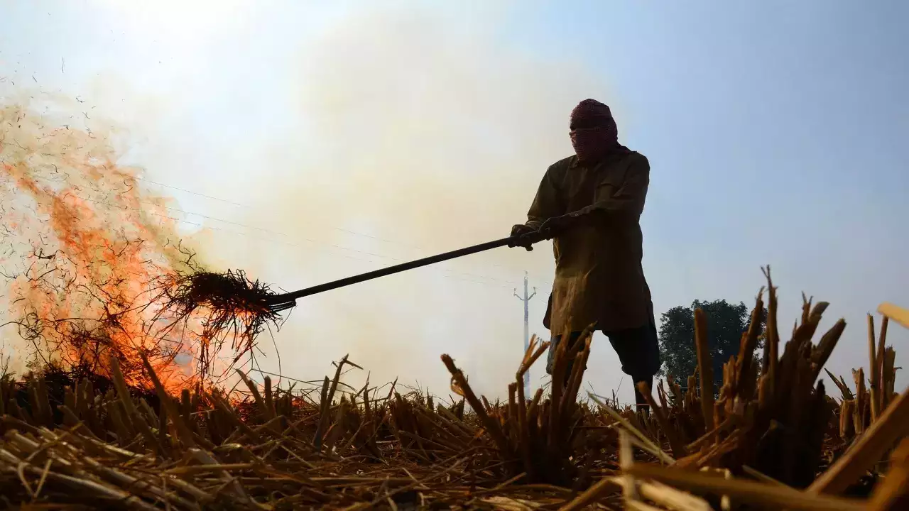 Stubble-Burning-Haryana