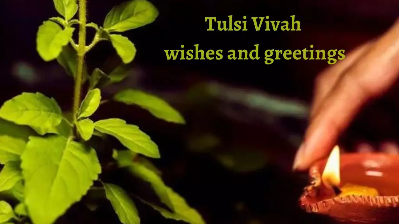 Tulsi Vivah significance for married couples