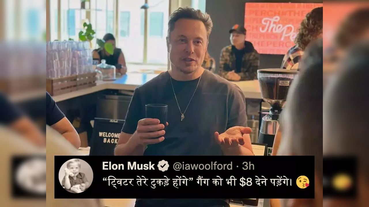 American-Australian Hindi teacher Ian Woolford poses as Elon Musk's parody account