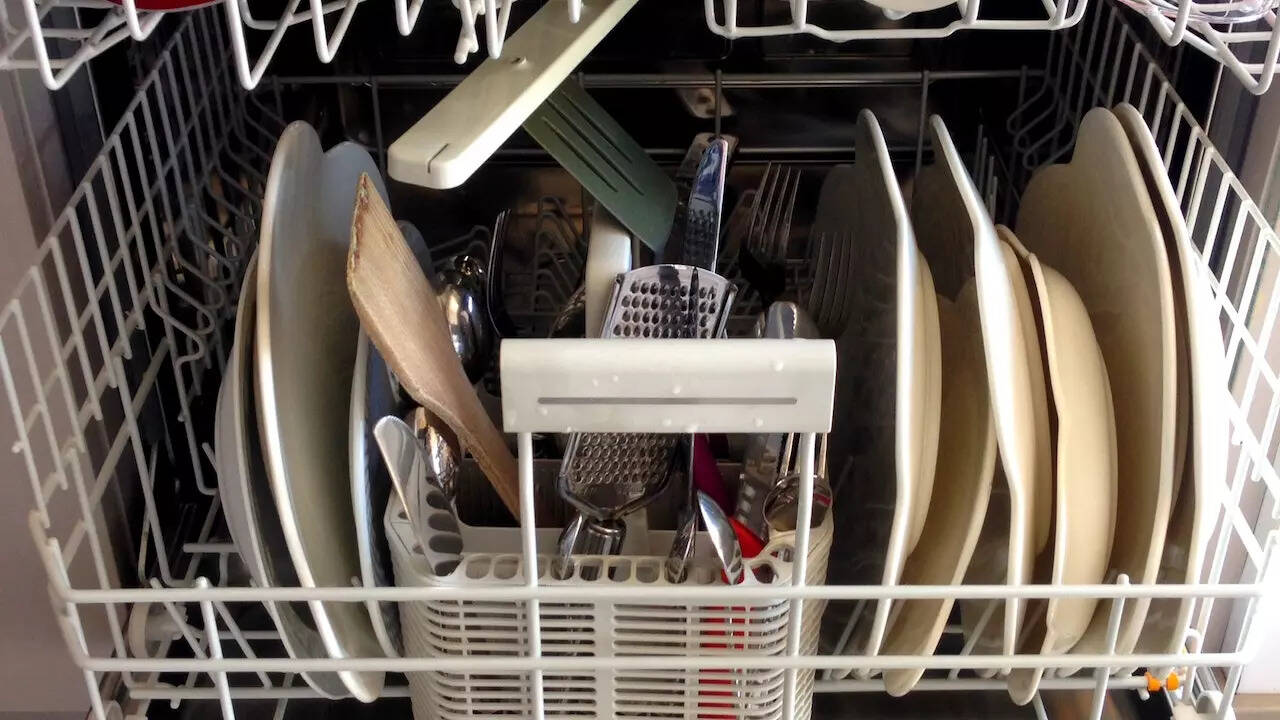 Woman cleans toilet brush in dishwasher, people are 'freaking out