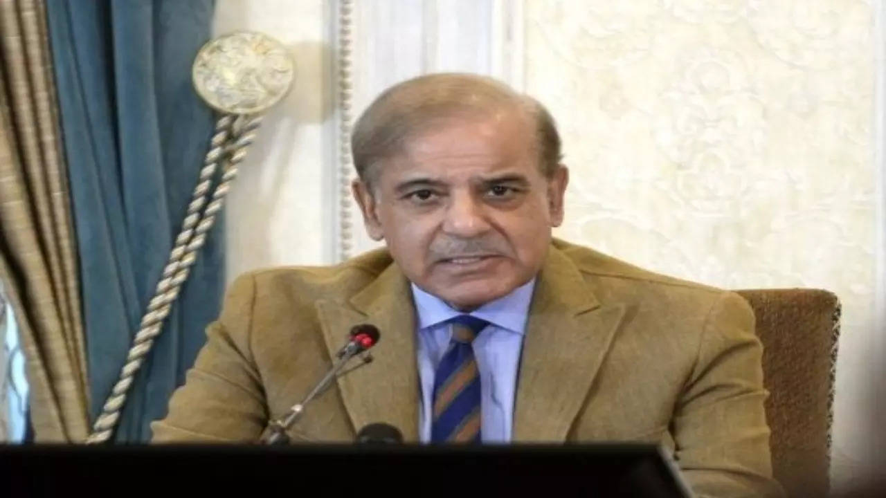 Pakistan Prime Minister Shahbaz Sharif