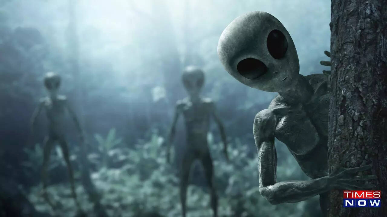 Smells like Alien? Broccoli emits gas that could signal presence of