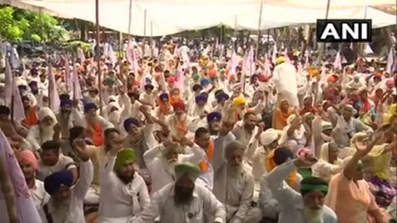 farmer protest ani