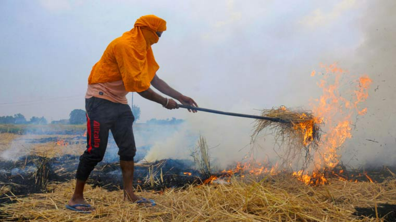 Stubble burning