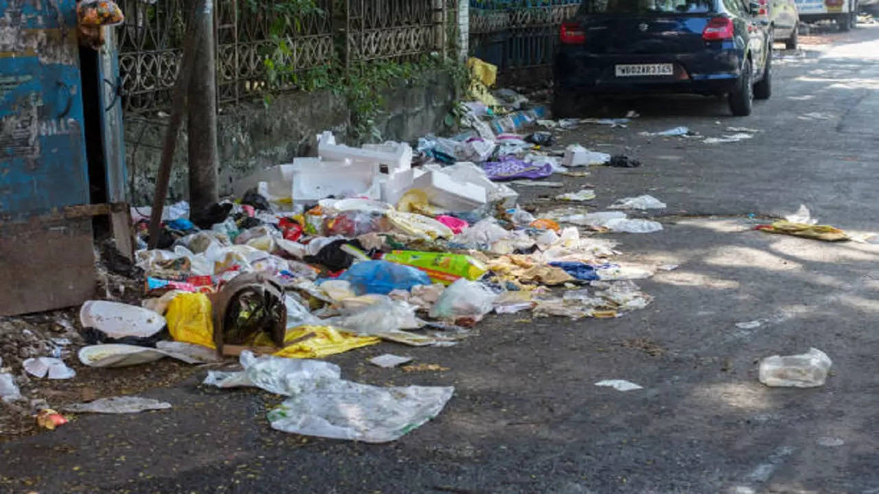 istockphoto-roadside garbage