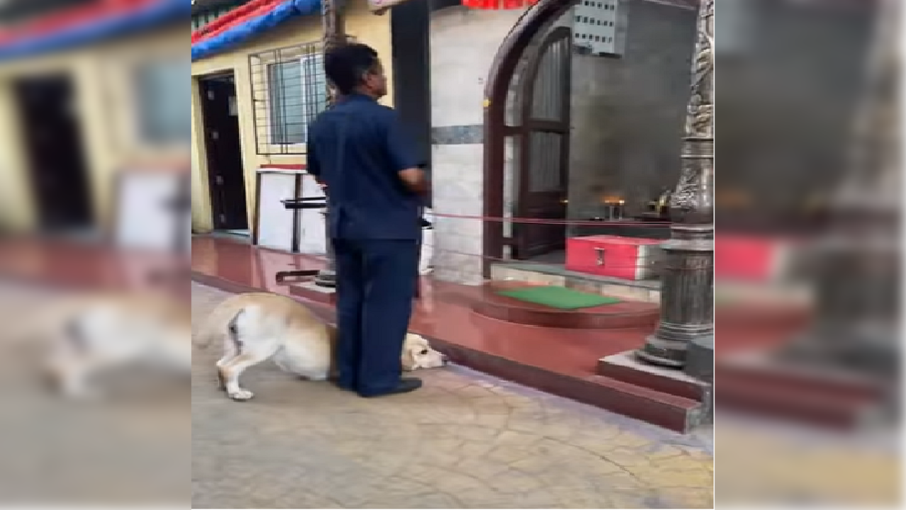 Dog bows down before Lord Ganesha idol