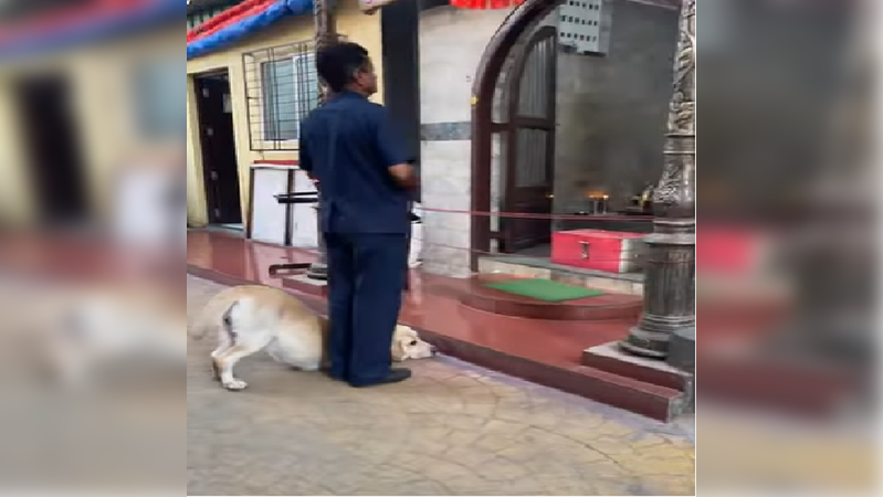 Dog bows down before Lord Ganesha idol