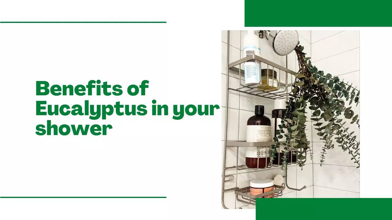 The best shower caddy for the eucalyptus shower trend