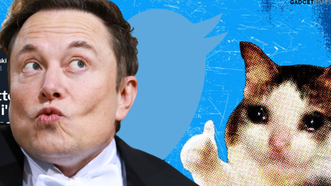 Chief Twit Elon Musk