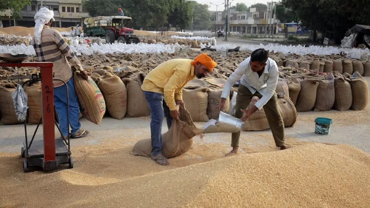 ​Workers fill bags with wheat at a market in Amritsar​ | Representational image