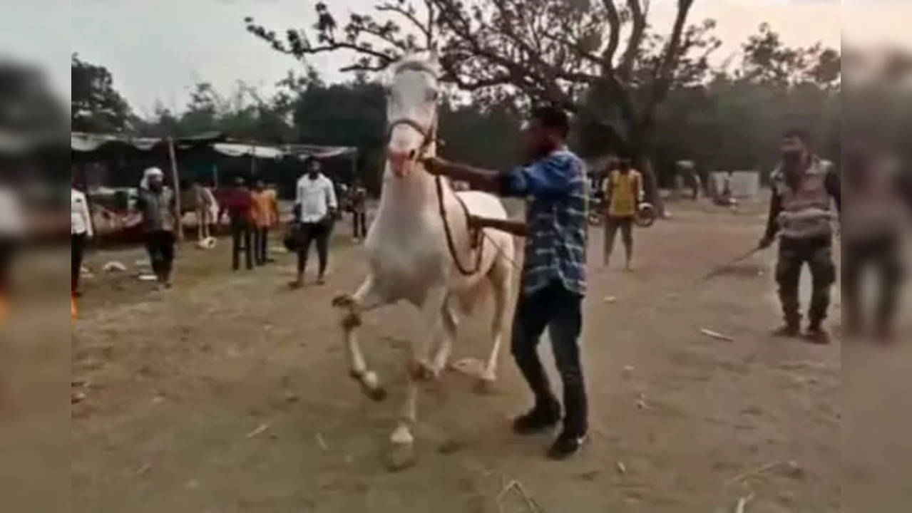 Dancer Bahubali