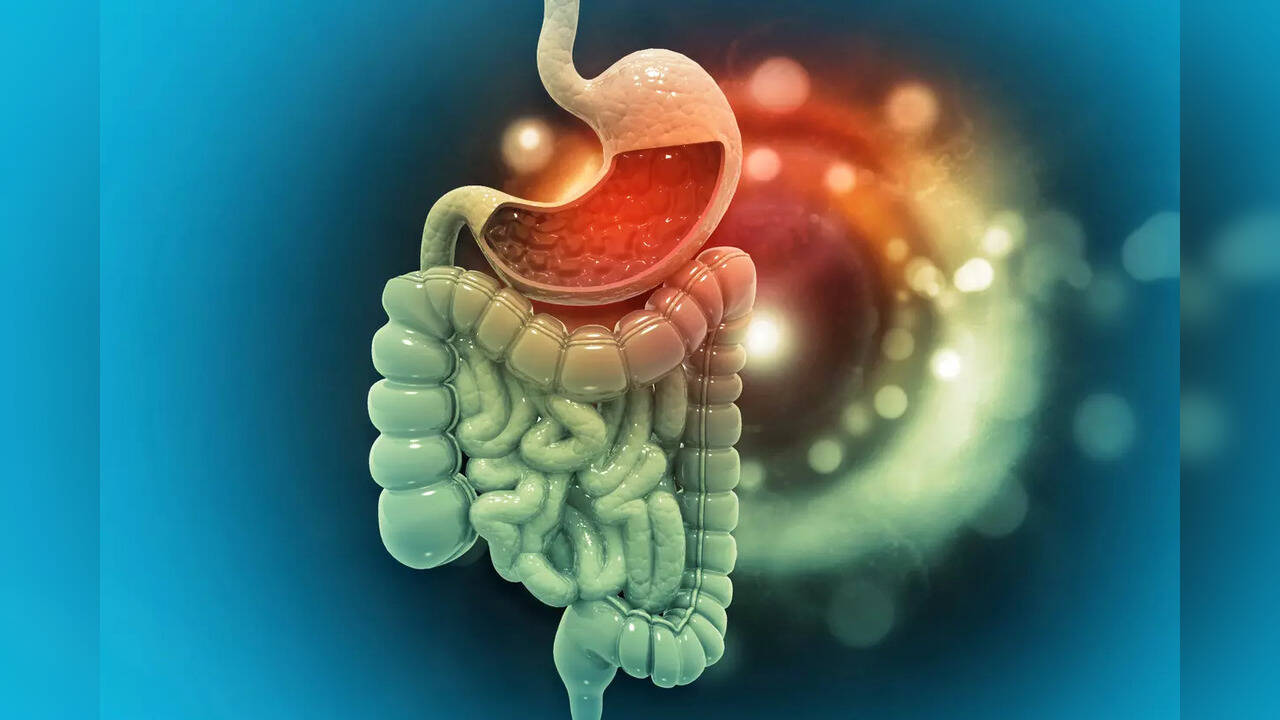 Do Probiotics Help with Bloating? Gut Health Experts Explain.