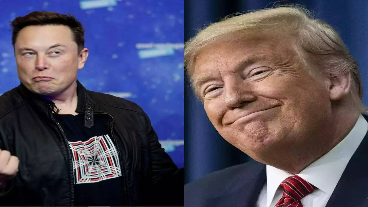 Elon Musk Launches Twitter Poll About Reinstating Former President Donald Trumps Account Says 