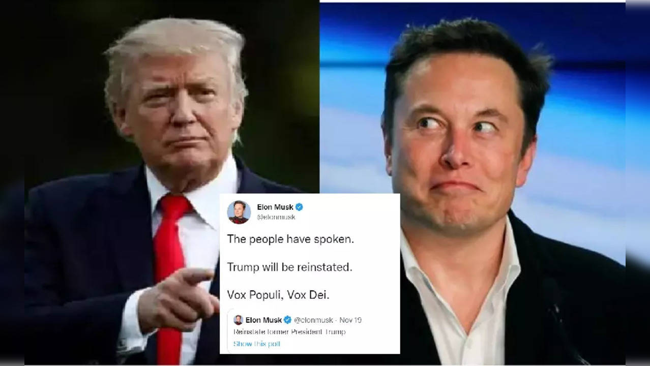 The People Have Spoken Trump Will Be Reinstated Says Elon Musk After 518 Users Vote Yes 
