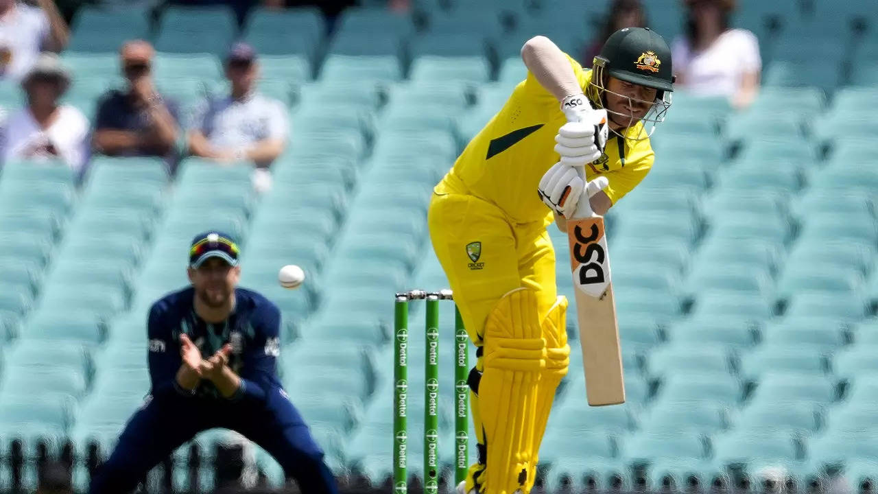 David Warner AP