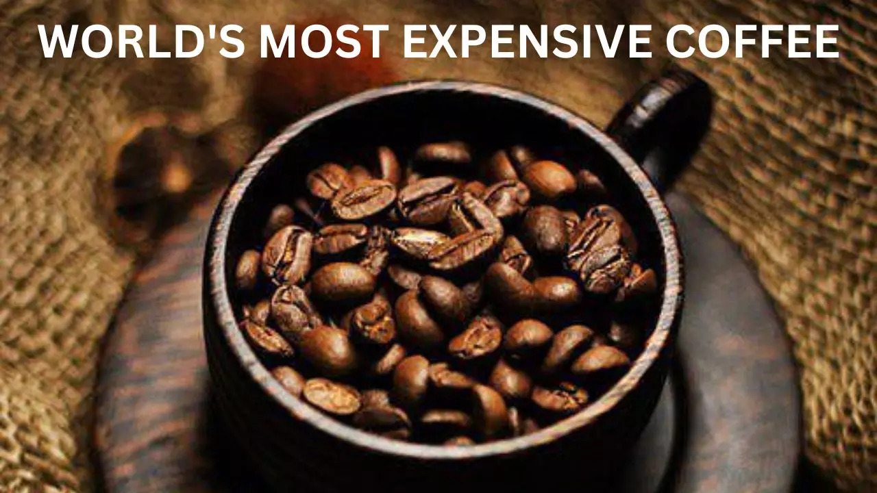 WORLD'S MOST EXPENSIVE COFFEE