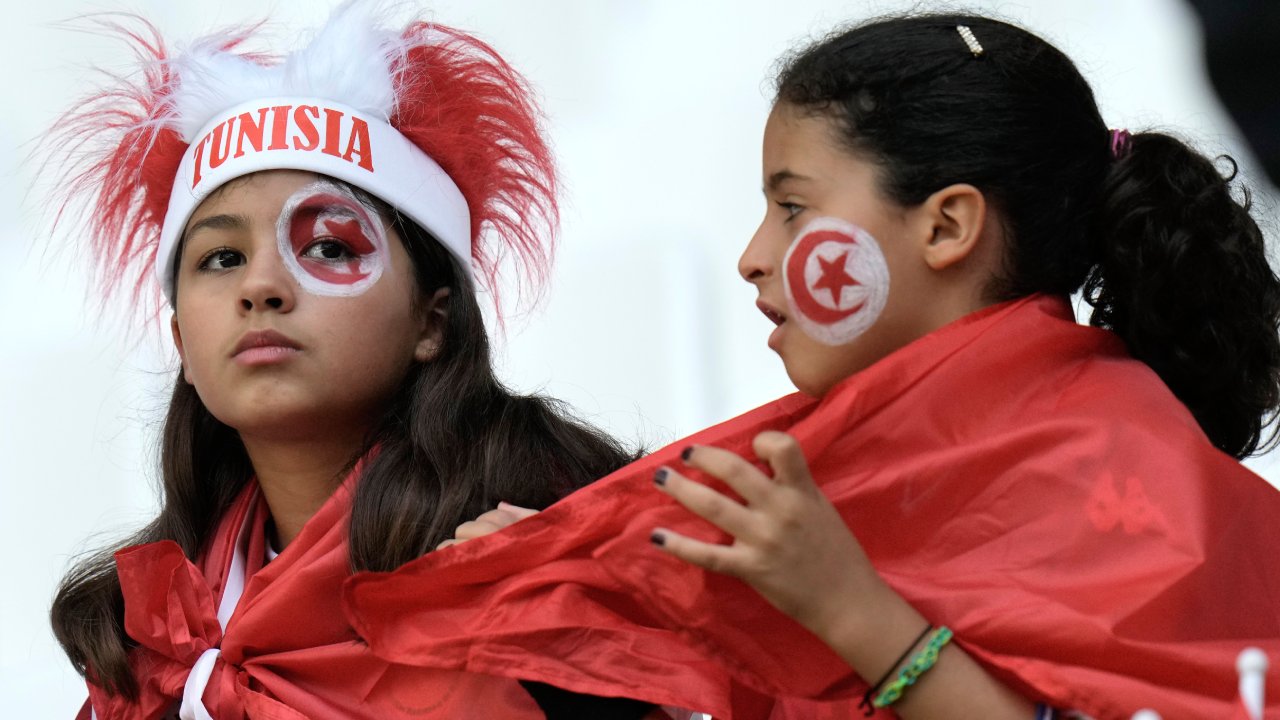 Denmark fans WC-Ap