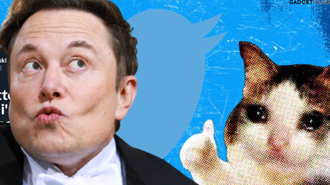 Elon Musk curse: Chief Twit decides to bring the worst, toxic accounts ...