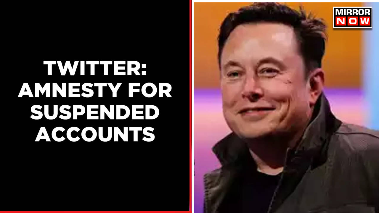 Elon Musk Announces Amnesty For Suspended Twitter Accounts Social Media English News 