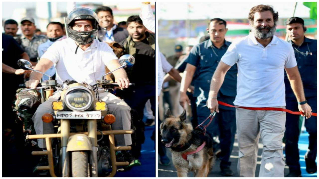 Rahul Gandhi during Bharat Jodo Yatra