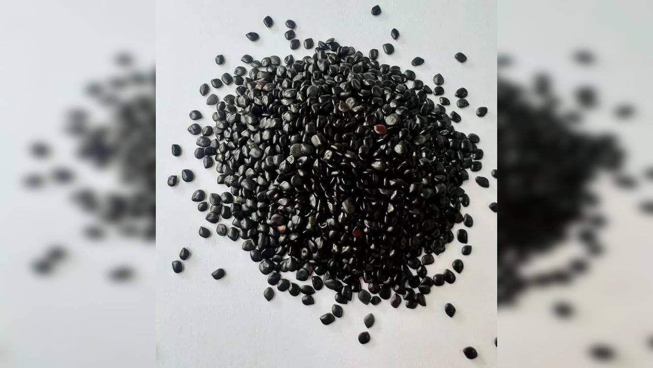 Chaksu seeds are known to have medicinal, anti-inflammatory properties that are diuretic in nature and work well for the liver, kidney, urinary tract infections and also boost blood circulation.