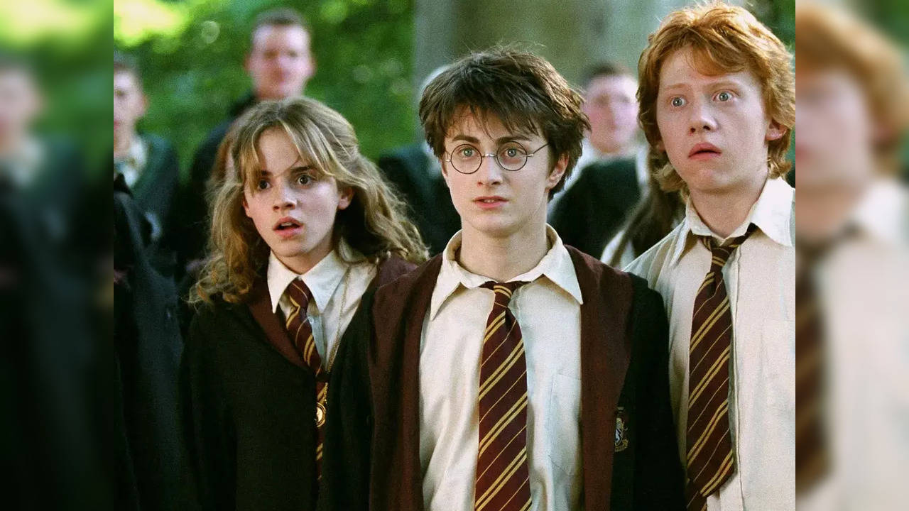 Harry Potter TV series maybe coming soon, says Warner Bros. TV CEO