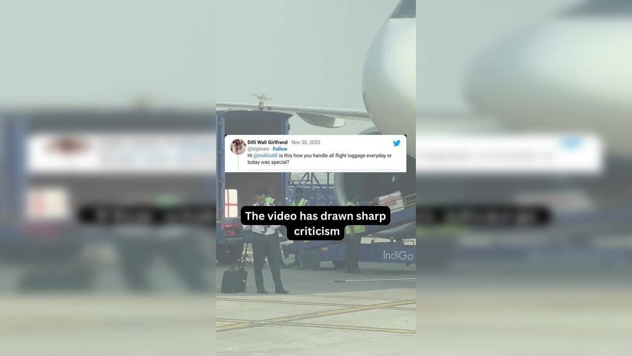 Indigo Baggage Handler Seen Carelessly Tossing Boxes, Airline Responds