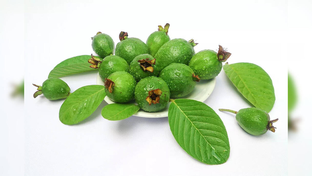 Benefits of Guava leaves; help control sugar, blood pressure