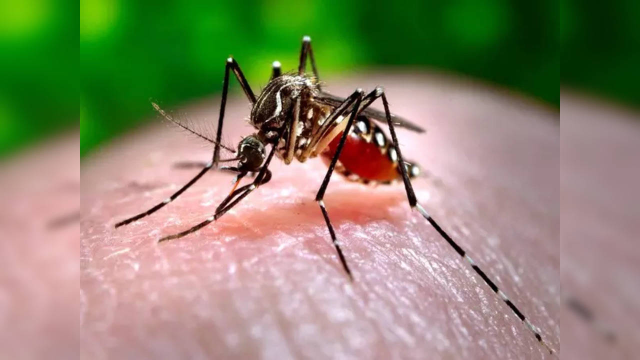 Zika Virus - ANI