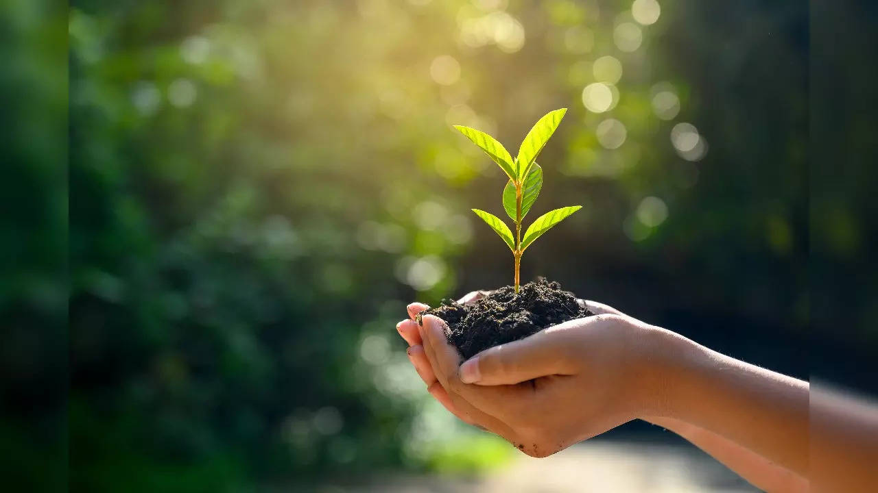 world soil day iStock-1181366400