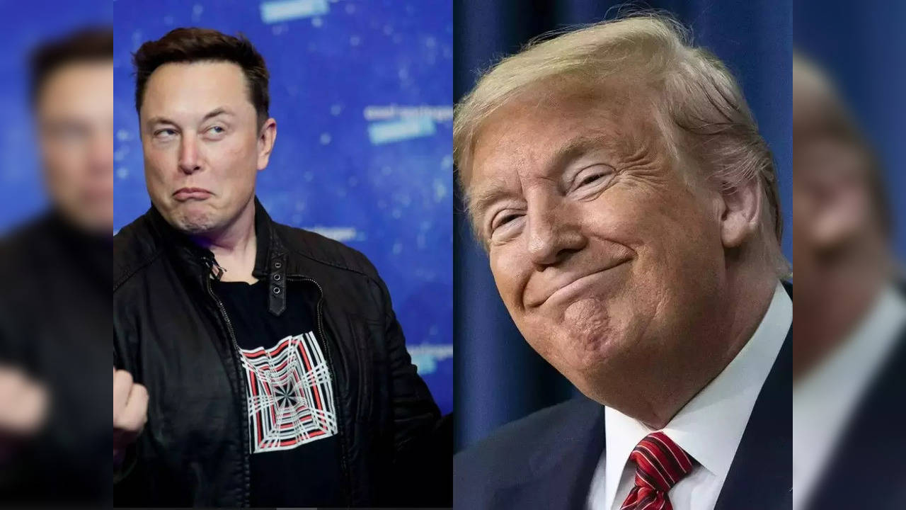 Elon Musk responds to Donald Trump's demand to terminate parts of Constitution