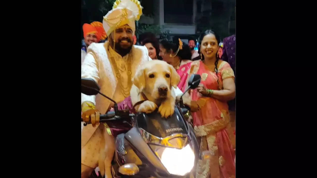 Groom arrives at his wedding with his pet dog | Screenshot courtesy of Darshan Nandu Pol