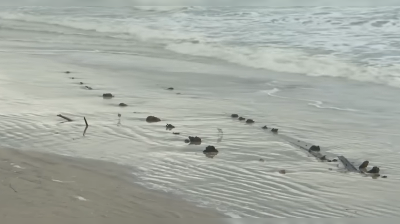 Strange object appears on beach