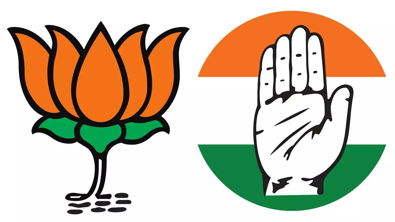 BJP and Congress are vying for the Bhanupratappur Assembly seat