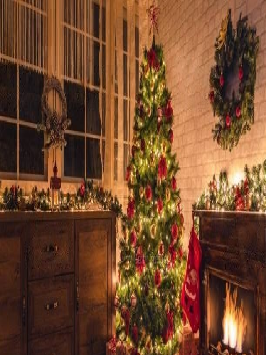 Facts about Christmas Tree that will make your holidays extra magical