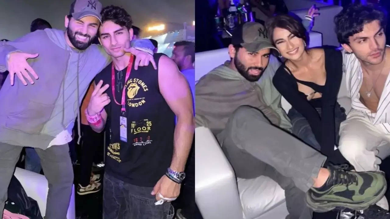 Ibrahim Ali Khan, Palak Tiwari attend Post Malone's concert with friends. Photos spark dating rumours again