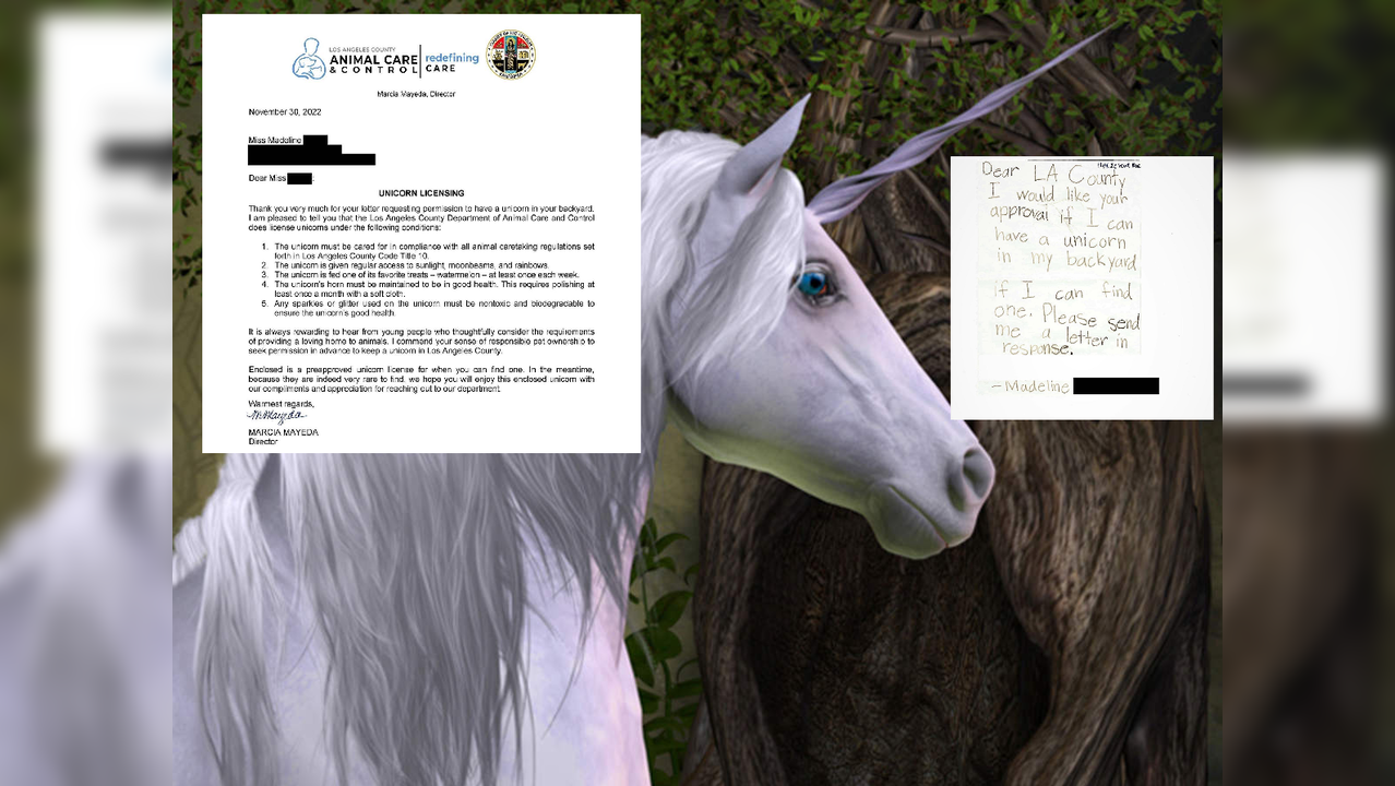 Unicorn license for little girl