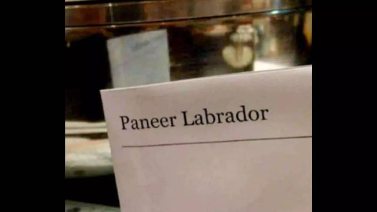 Paneer Labrador on the menu