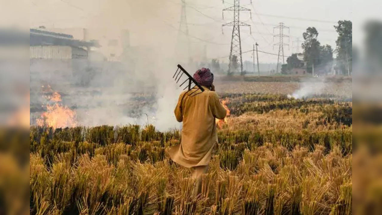 Solution to stubble burning