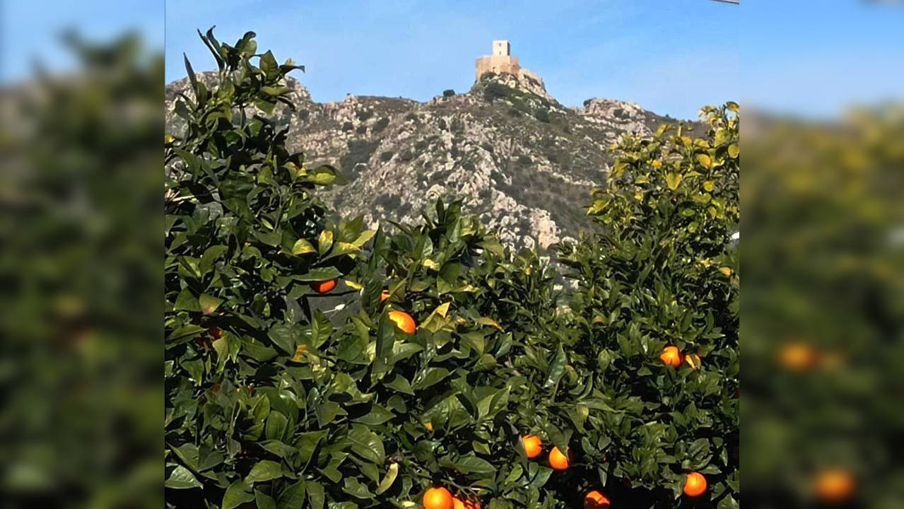 The castle sits atop  a hill