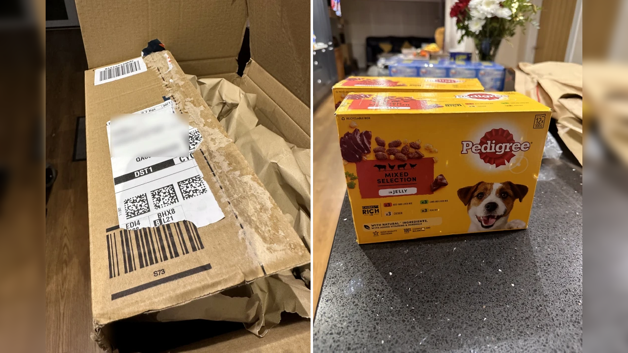 Man receives Pedigree dog food after ordering laptop worth Rs 1.2 lakh on  Amazon; company issues apology